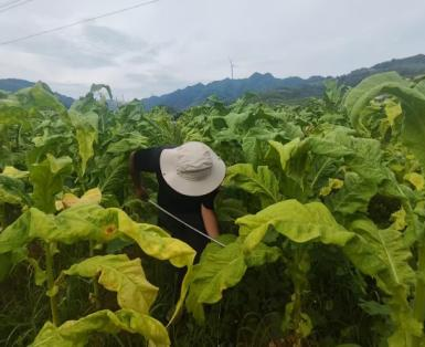 77779193永利(中国)有限公司